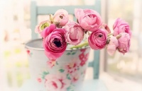 一个人顶级的自律：忍