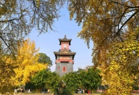 谭楷《华西坝的钟声》出版：留住华西坝的人文历史