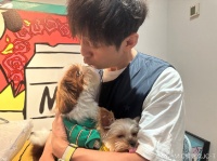 檀健次凌晨晒照为何炅庆生 何老师抱狗亲亲好有爱