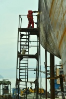 “春光”（193） | 上游主题摄影征稿作品展——刘晓东作品