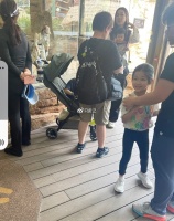 李亚男钟嘉欣一起带着子女到主题乐园游玩 子女被赞漂亮和可爱