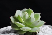 五十岁以后，别把“关系”看得太重