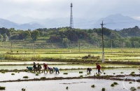 “春光”（195） | 上游主题摄影征稿作品展——邓晓东作品
