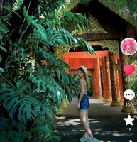 洪欣独自回香港，张丹峰毕滢同在北京，引起网友热议