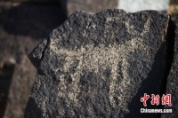 东西问｜张志国：阴山岩画离远播海外还有多远？