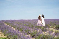 惊人的3大强者法则：比伦定律，瓦伦达效应，绿灯思维