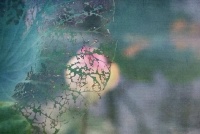 “嫂子，这是20万你赶紧先拿去应急”“我不能拿你的钱”