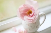 父母临走之前，兄弟姐妹做到“五不带”，守住家庭的福报