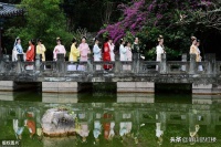 红楼梦：尤氏的这次怀孕是真是假？贾珍：早就没能力了