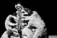 百场活动助力郎园变身艺术高地