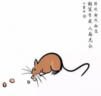 相鼠有皮，人而无仪！横店插队母女被群嘲，竟还有脸出来大言不惭