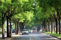 一个人开车的样子，暴露了他的层次