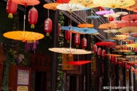 我国古代“油纸伞”的伞面涂的是熟桐油还是花生油？蚂蚁庄园今日答案