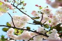 关系再好的人，这6件事也不能说