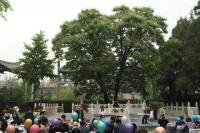 朝阳区高碑店乡半壁店村“BBD首届菩提花开文化艺术节”开幕