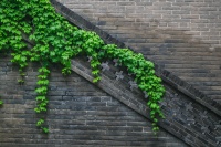 真正厉害的人，早就把人生调成了这三种模式