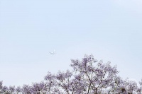 “春光”（199） | 上游主题摄影征稿作品展——赵俊超作品