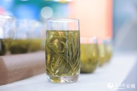 探访第十六届安徽国际茶博会：茶香氤氲时 静待宾朋至