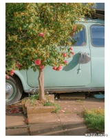 从小到大都在阳光下的人，一旦经历黑暗时刻，就绝望崩溃了