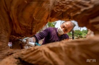 高手在民间！艺术“青年”痴迷根雕三十载