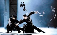 舞剧《咏春》 绿城郑州精彩上演