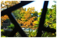 微信上，人品差的人，往往有这4个特征