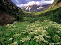 人善被人欺，情绪是工具