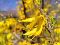 师恩深似海，难忘师恩情