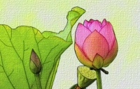 人过五十才明白，真正改变命运的，是你的“认知”