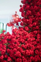 一馆多展！带你解锁五月的艺术之旅