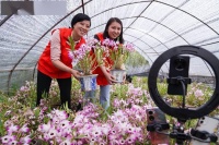 贵州赤水：石斛花开幸福来