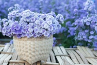 过了50岁，身边还有这3种亲近的人，晚年绝对没福气