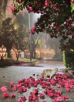 为什么辛苦赚钱？