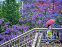 “盛夏”（12） | 上游主题摄影征稿作品展——李引凡作品