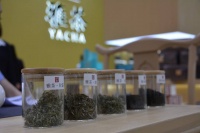 雅安40余家茶企赴蓉参展 国雅藏茶获评“四川最具影响力茶叶单品”