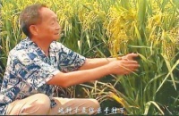 用歌曲“隔空对话” 我们的青春连着一个世纪