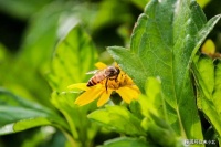 一个人，越自律，人生越富有
