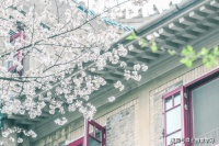 茶杯里的风暴不值一提