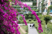 “盛夏”（19） | 上游主题摄影征稿作品展——谭昌藩作品