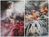 李伟和他的学生