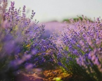 人过60，无论和谁做亲家，都要给女儿留下三条退路