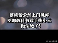 蔡晓蕾公然上门挑衅，左娜教科书式手撕小三，做法值得一学！