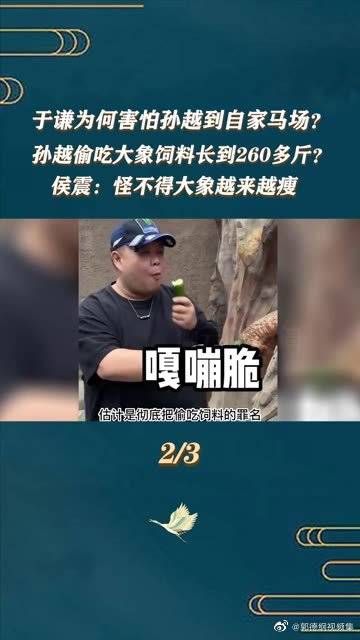 于谦为何害怕孙越到自家马场侯震说孙越偷吃大象饲料孙越越吃越胖……