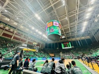 横扫！辽宁男篮夺冠，郭艾伦怒抓球衣，球迷现场求婚，赵本山见证