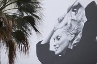 第76届法国戛纳国际电影节即将开幕