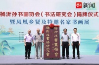 登高能赋，君来有声！杨沂孙书画协会（书法研究会）正式揭牌