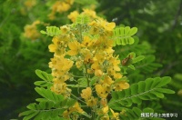 做生意的人，修行最深