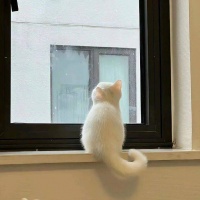 水瓶、射手、巨蟹 ​​​