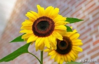 做人，性格再软弱，也不能在这两件事上忍让