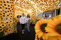 触手可及！数字艺术呈现沉浸式“梵高的世界”